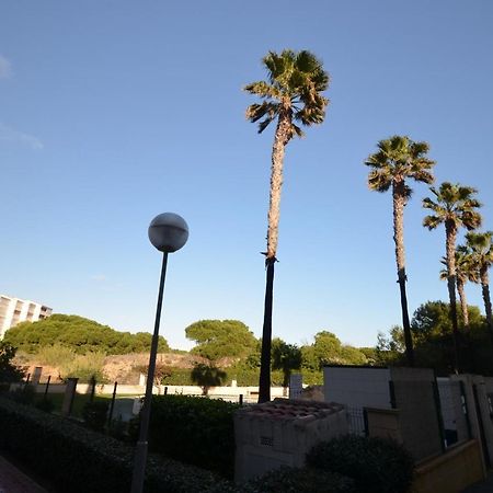 Ferienwohnung 055 Paradise Vacation - Ac/Wifi Torre La Mata Exterior foto