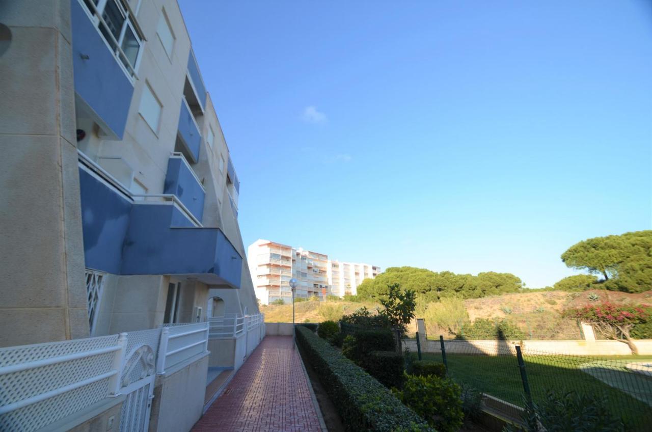 Ferienwohnung 055 Paradise Vacation - Ac/Wifi Torre La Mata Exterior foto